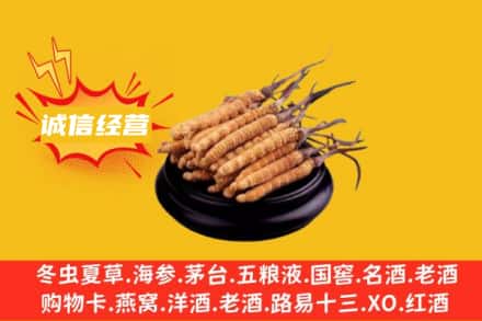 吉林市蛟河回收冬虫夏草